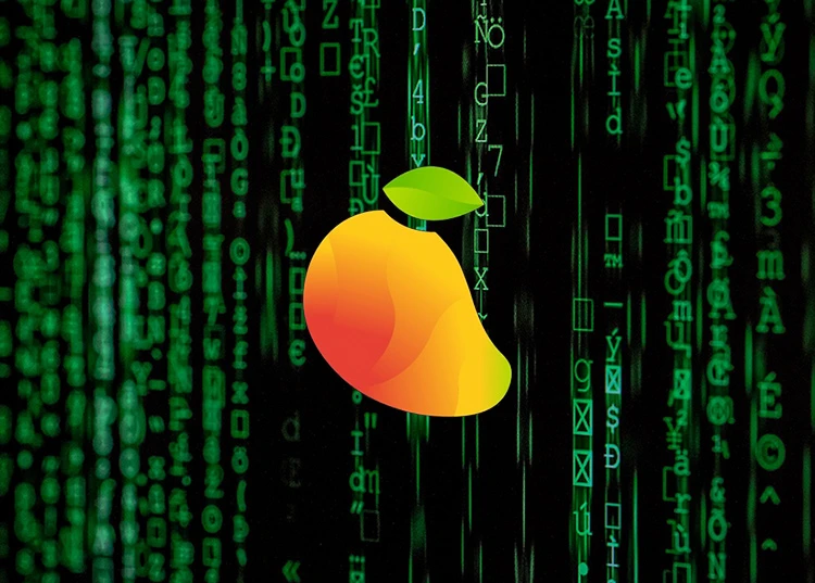 Hacker đánh cắp 100 triệu USD từ Mango Markets
